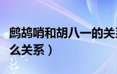 鹧鸪哨和胡八一的关系（鹧鸪哨和胡八一是什么关系）