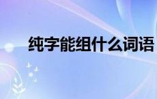 纯字能组什么词语（纯字能组什么词）
