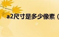 a2尺寸是多少像素（a2尺寸是多少厘米）