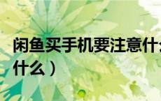 闲鱼买手机要注意什么好（闲鱼买手机要注意什么）