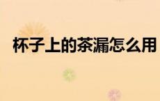 杯子上的茶漏怎么用（杯子的茶漏怎么用）