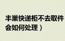 丰巢快递柜不去取件（丰巢快递柜一直不取件会如何处理）