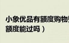 小象优品有额度购物要审核多久（小象优品有额度能过吗）