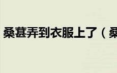 桑葚弄到衣服上了（桑葚弄到衣服上怎么洗）