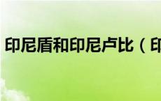 印尼盾和印尼卢比（印尼盾和印尼卢比区别）