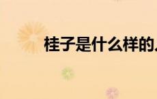 桂子是什么样的人（桂子是什么）