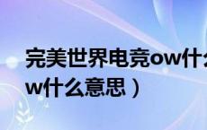 完美世界电竞ow什么意思（完美世界电竞ow什么意思）