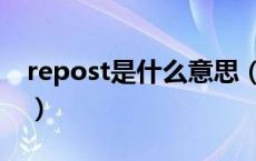 repost是什么意思（repost是什么意思微博）