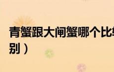 青蟹跟大闸蟹哪个比较贵（青蟹跟大闸蟹的区别）