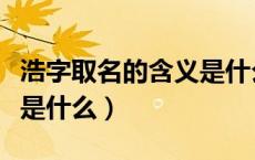浩字取名的含义是什么意思（浩字取名的含义是什么）