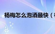杨梅怎么泡酒最快（杨梅怎么泡酒怎么洗）