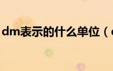 dm表示的什么单位（dm代表的单位是什么）
