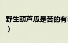 野生葫芦瓜是苦的有毒吗（葫芦瓜苦的有毒吗）