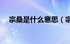 宗桑是什么意思（宗介和宗桑什么意思）