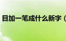 目加一笔成什么新字（目加一笔成什么新字）