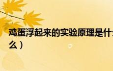 鸡蛋浮起来的实验原理是什么（鸡蛋浮起来的实验原理是什么）