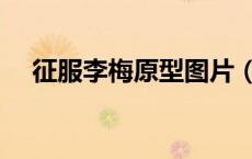 征服李梅原型图片（征服李梅原型是谁）