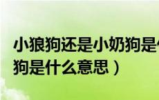 小狼狗还是小奶狗是什么意思（小狼狗和小奶狗是什么意思）