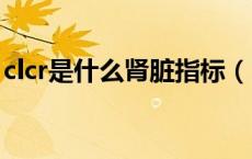 clcr是什么肾脏指标（肾cre指标多少算正常）