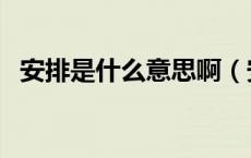 安排是什么意思啊（安排是什么意思网络）