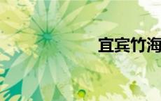 宜宾竹海位于哪里