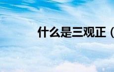 什么是三观正（什么是三仙汤）