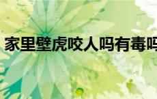 家里壁虎咬人吗有毒吗（壁虎有毒吗咬人吗）