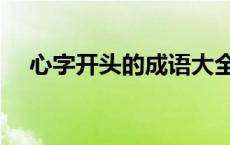 心字开头的成语大全（心字开头的成语）