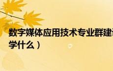 数字媒体应用技术专业群建设方案（数字媒体应用技术专业学什么）
