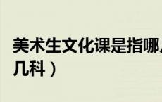 美术生文化课是指哪几科（初中文化课是指哪几科）