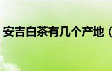 安吉白茶有几个产地（安吉白茶产地有哪些）