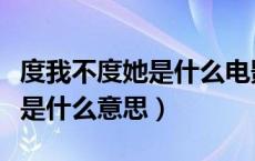 度我不度她是什么电影的主题曲（度我不度她是什么意思）