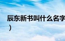 辰东新书叫什么名字2020（辰东新书叫什么）