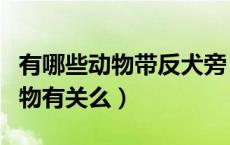 有哪些动物带反犬旁（猜为什么带反犬旁跟动物有关么）