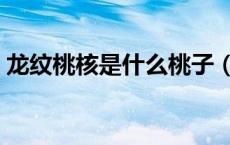 龙纹桃核是什么桃子（龙纹桃核是什么桃子）