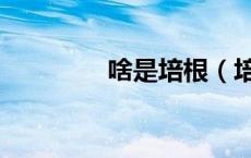 啥是培根（培根是啥东西）