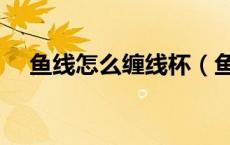鱼线怎么缠线杯（鱼轮怎么缠线进线杯）