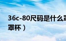 36c-80尺码是什么罩杯（36/80是什么码的罩杯）