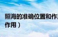 照海的准确位置和作用（照海的准确位置图和作用）