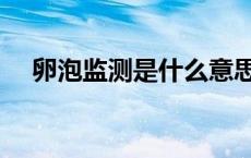 卵泡监测是什么意思（卵泡是什么意思）