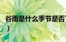 谷雨是什么季节是否下大雨（谷雨是什么季节）