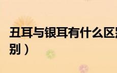 丑耳与银耳有什么区别（银耳和丑耳有什么区别）
