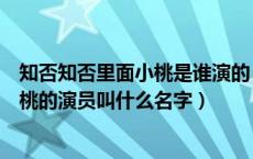 知否知否里面小桃是谁演的（知否知否应是绿肥红瘦中演小桃的演员叫什么名字）