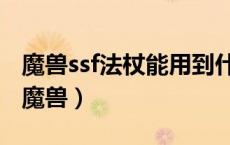 魔兽ssf法杖能用到什么时候（ssf是什么意思魔兽）