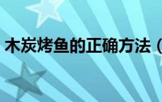 木炭烤鱼的正确方法（木炭烤鱼的正宗做法）