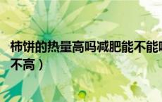 柿饼的热量高吗减肥能不能吃（柿饼热量高吗 柿饼的热量高不高）