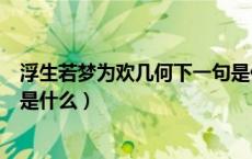 浮生若梦为欢几何下一句是什么（浮生若梦为欢几何的下句是什么）