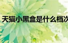 天猫小黑盒是什么档次（天猫小黑盒是什么）