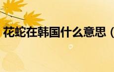 花蛇在韩国什么意思（花蛇韩国是什么意思）