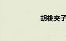 胡桃夹子象征意义